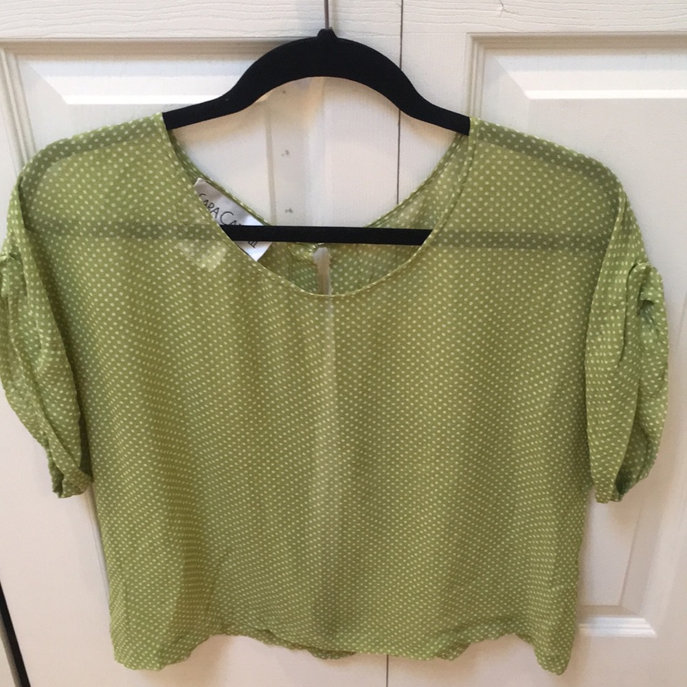 Sarah Campbell Green/White Polkadot L Blouse